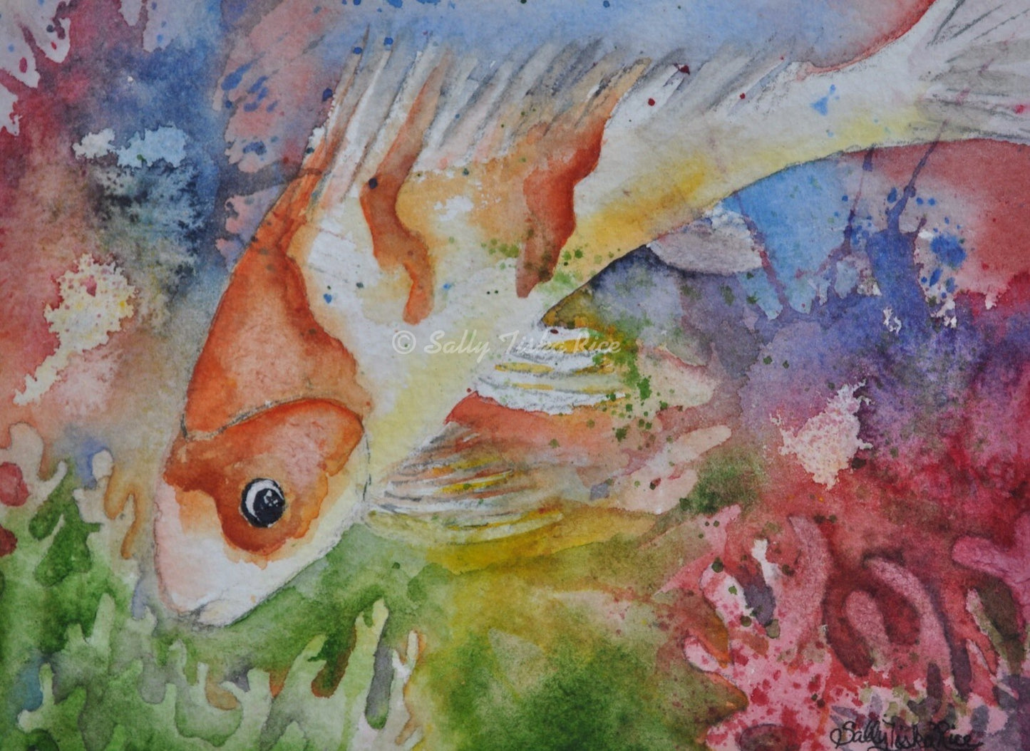 Koi Fish