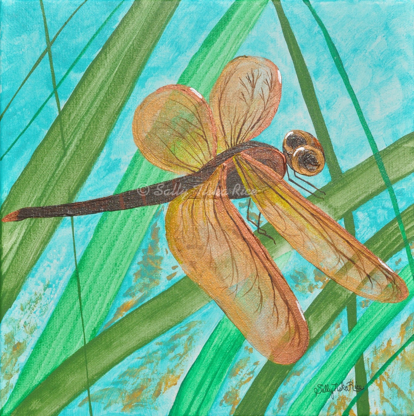 Red Winged Dragonfly