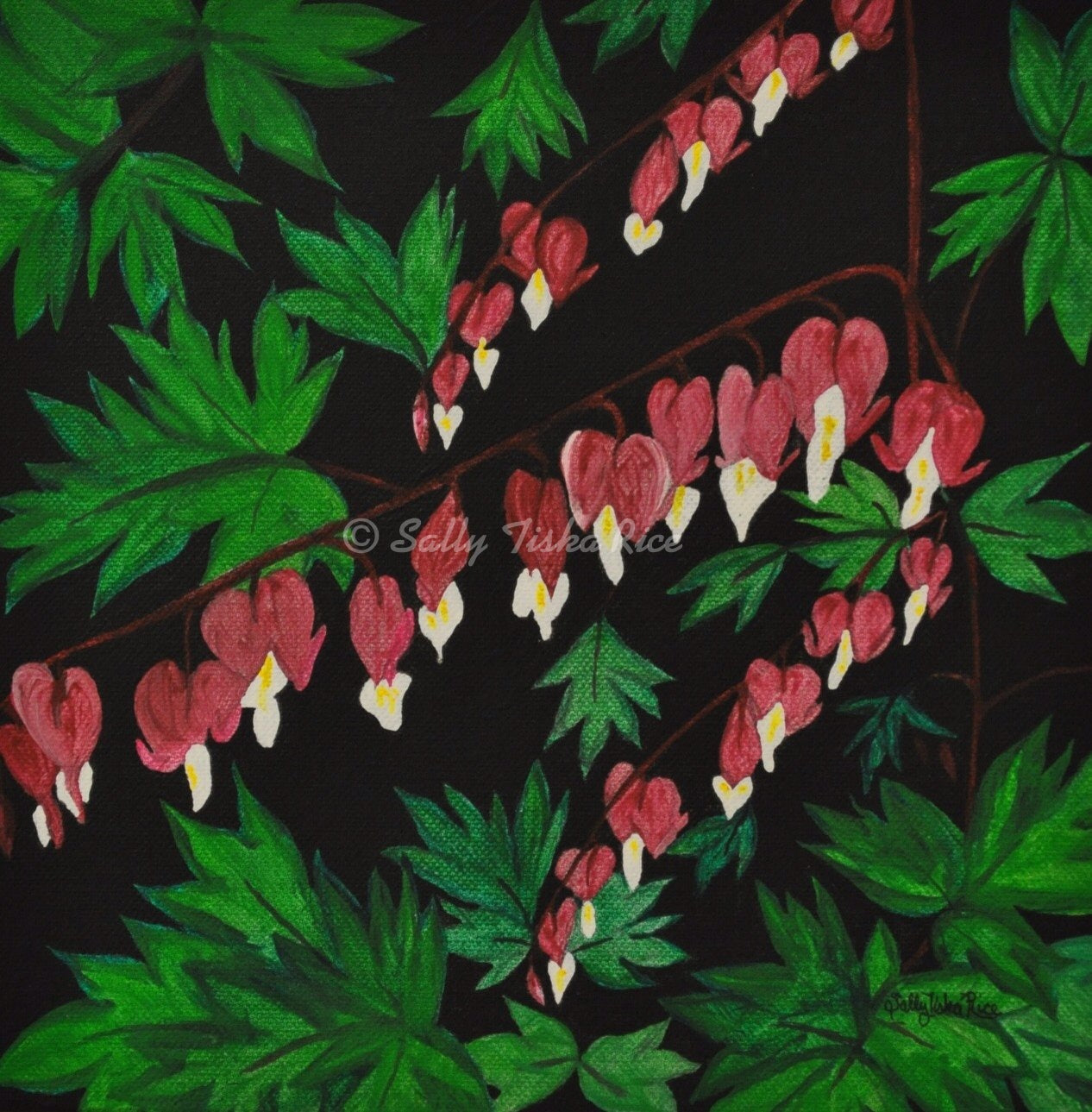 Bleeding Hearts