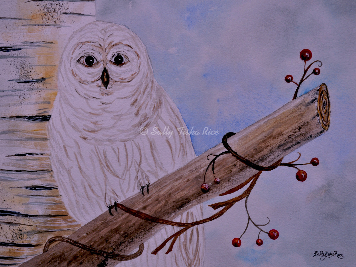 Snowy Owl
