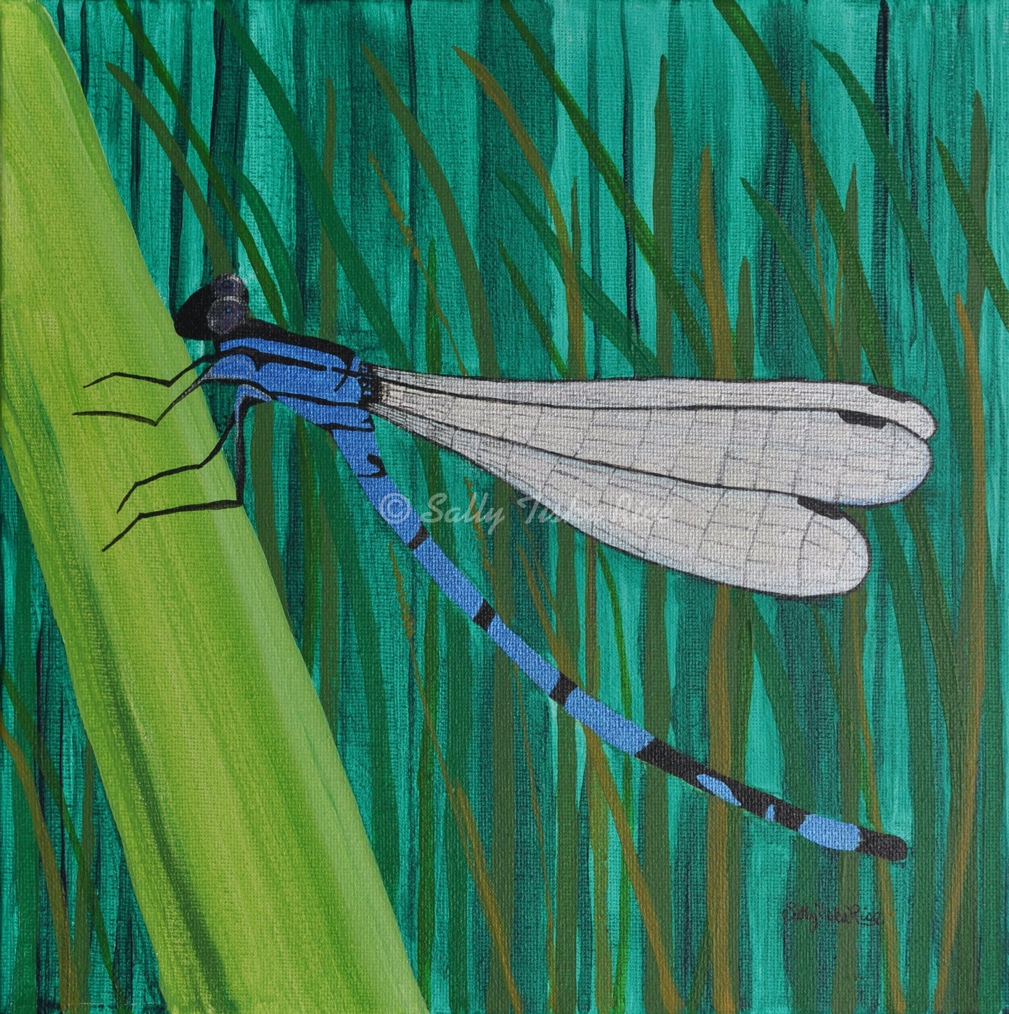 Blue Dragonfly