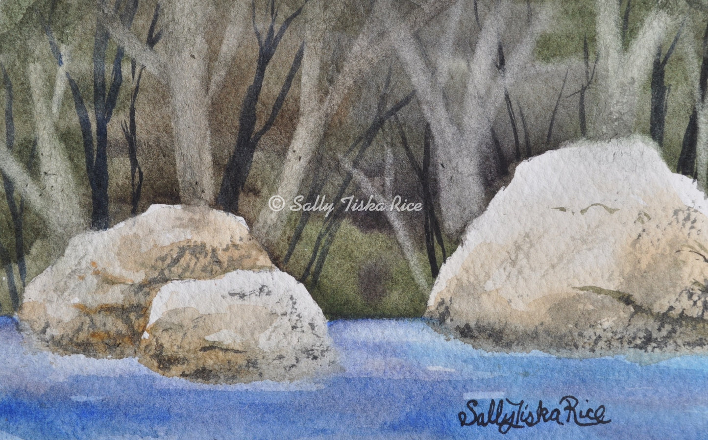 Back Side of the Lake