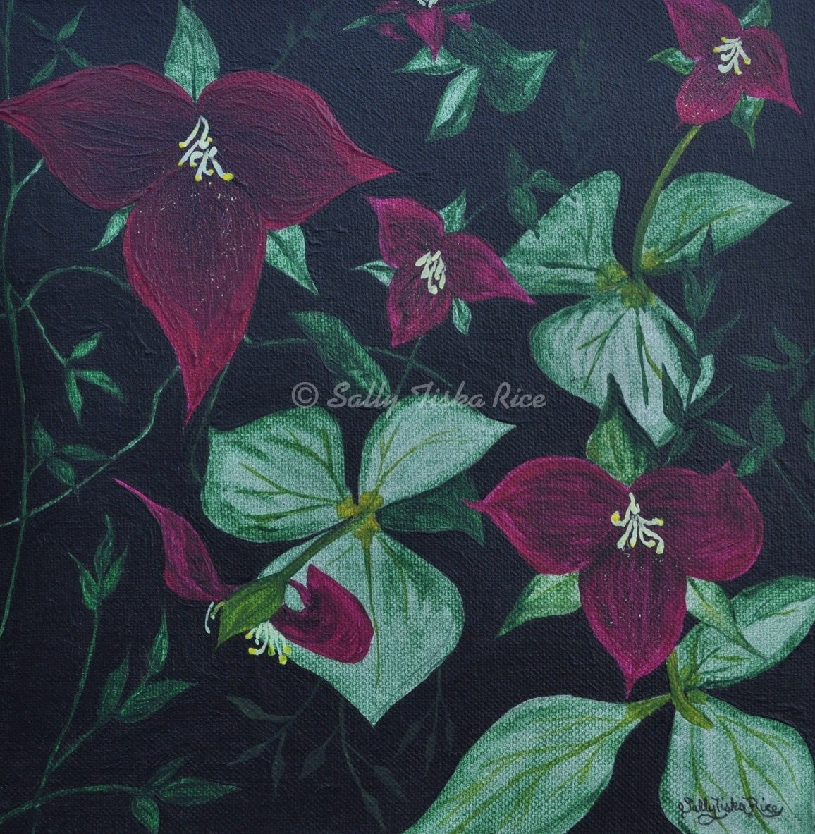 Trillium’s