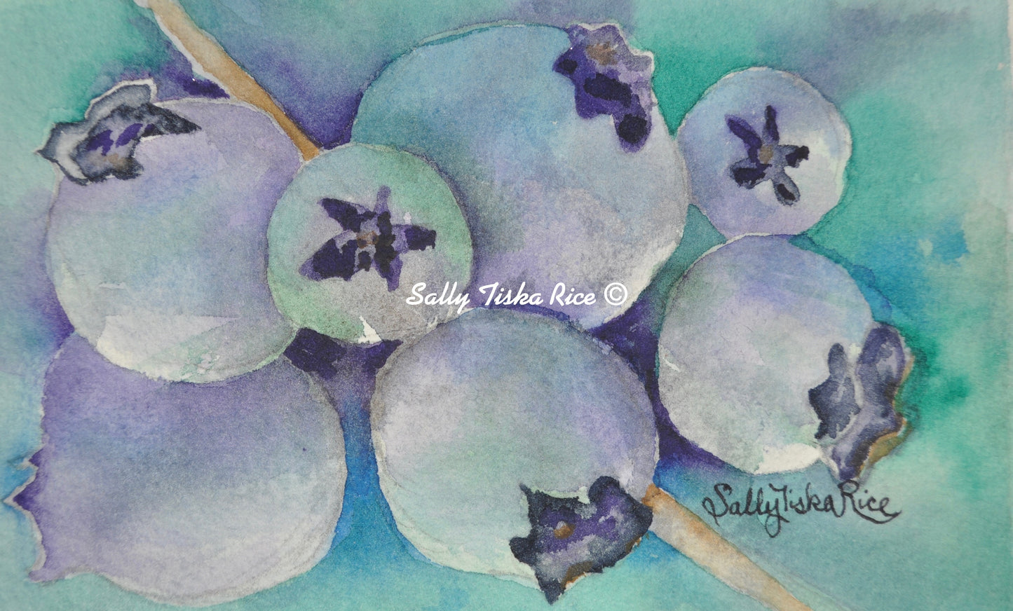 Berkshire Blueberries