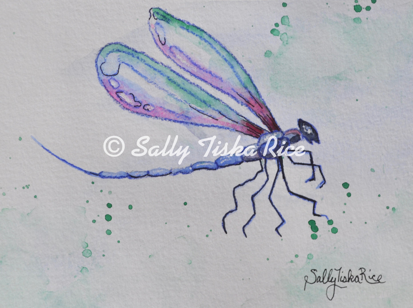 Dragonfly Watercolor
