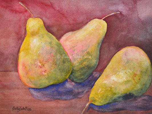 D'Anjou (European Pears)